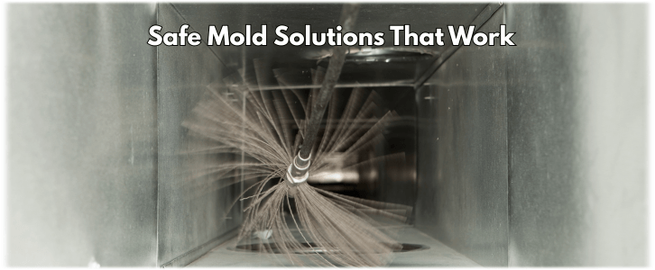 Air Duct Mold Removal in Chandler AZ