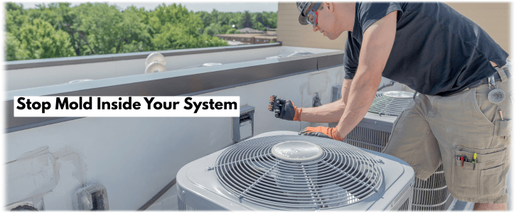 HVAC Mold Removal Chandler AZ